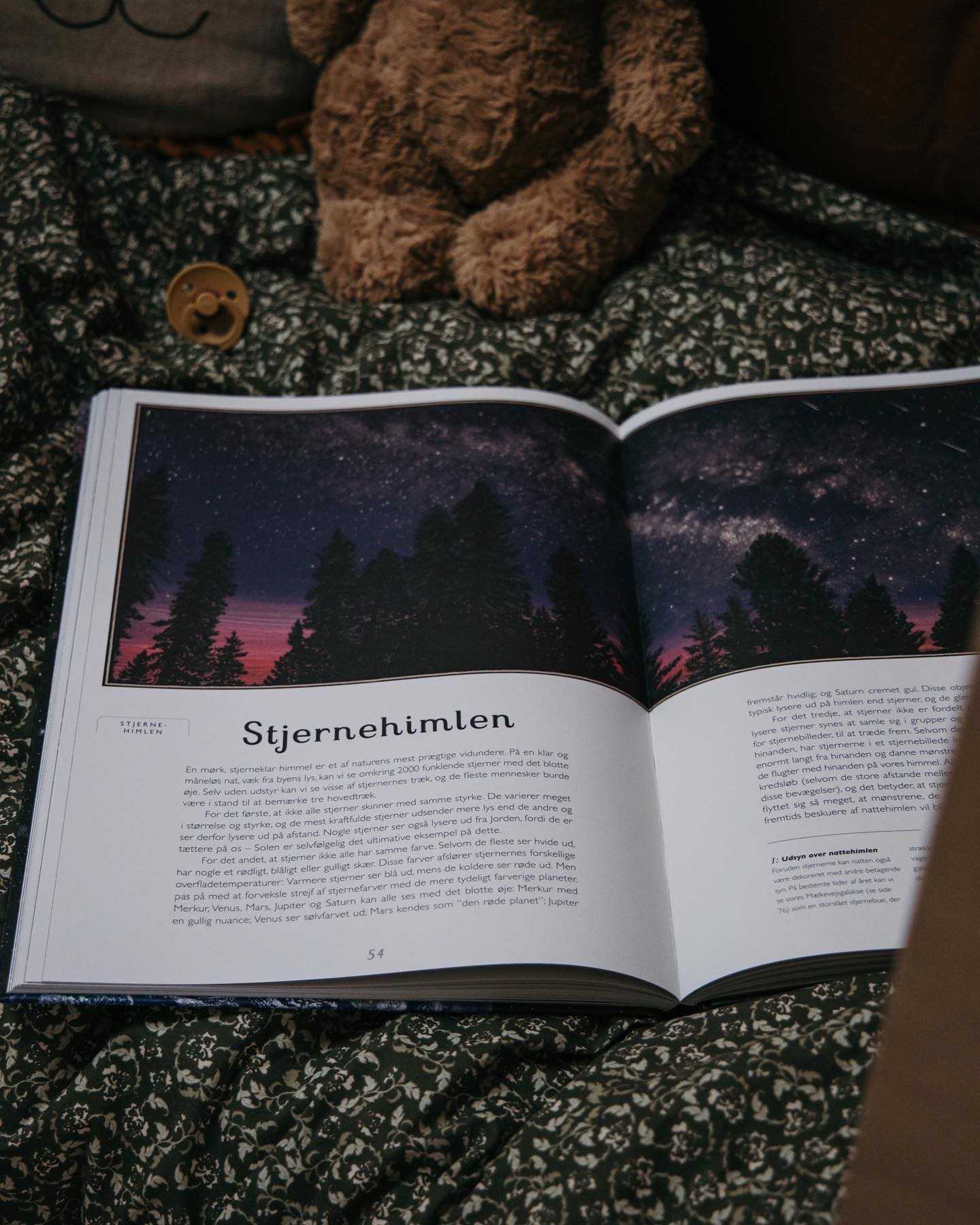 Planetarium - I brug