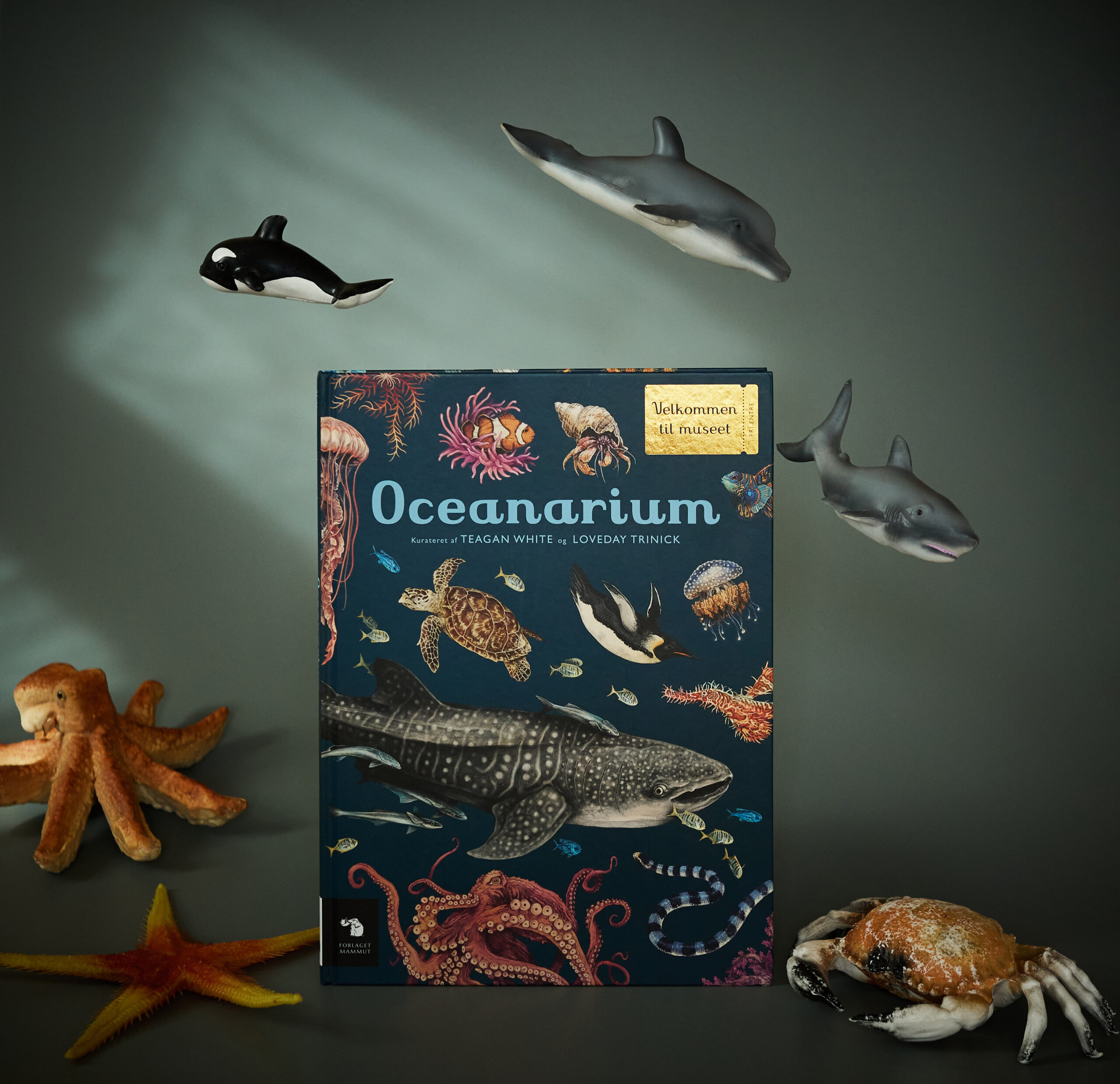 Oceanarium - forside 2